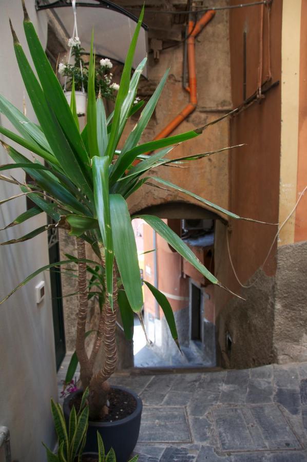 La Croce Dei Templari - Very Central With Parking - Hotell Riomaggiore Exteriör bild